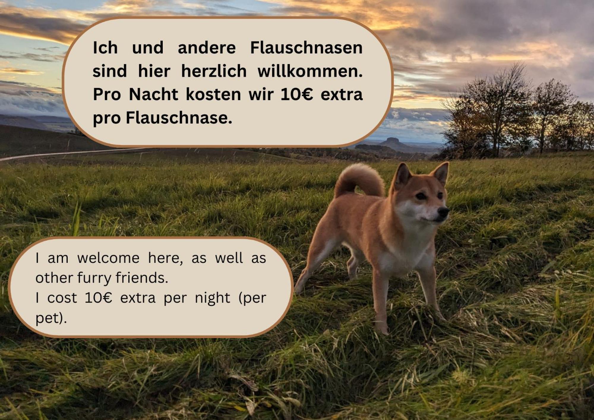 R3 - Urlaubsmagie - Helle Wohnung Mit Garten & Pool Rathmannsdorf Exteriör bild